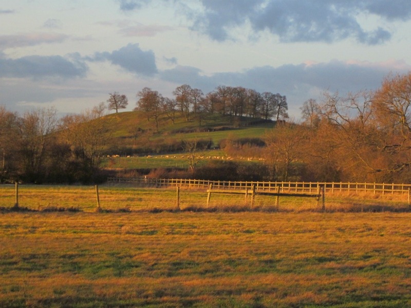 [Willington%2520%252B%2520026%2520%2528800x600%2529%255B3%255D.jpg]