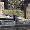 BP-20111111-zoo-356.jpg