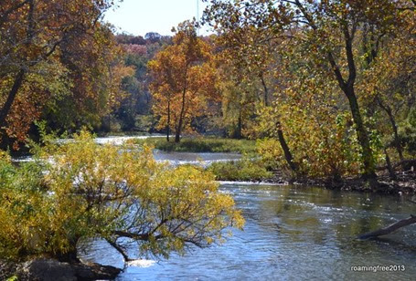 Fall colors along the river