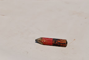 aki110624_DSC3546.jpg