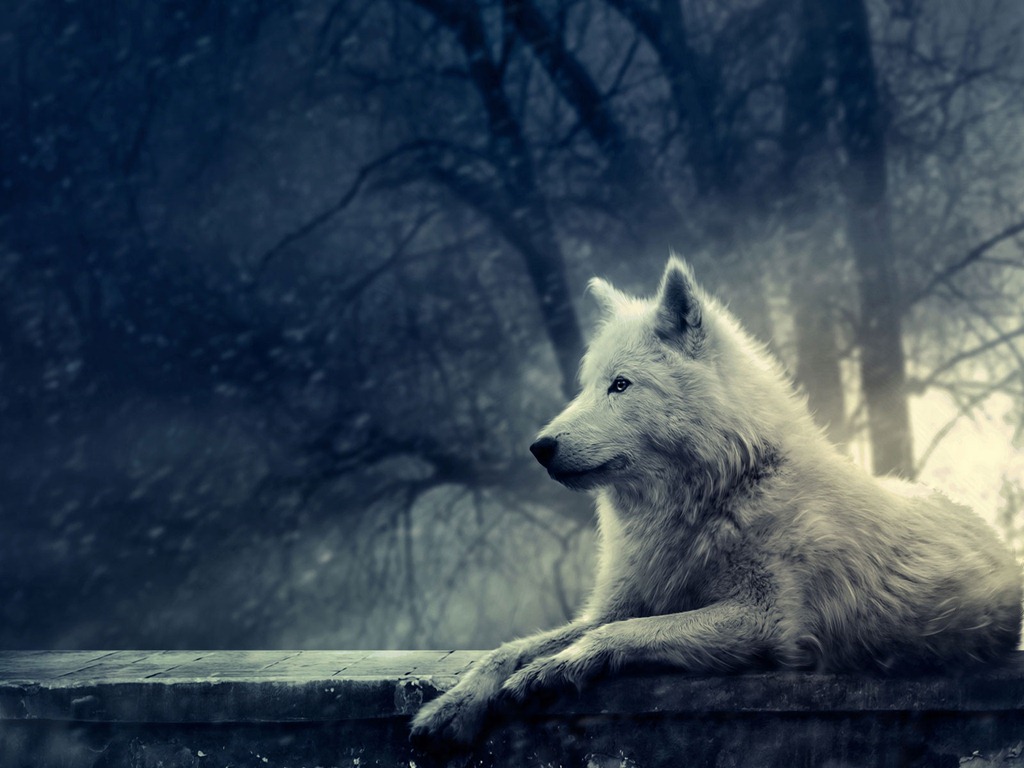 [Night-Of-The-Wolf-Wallpaper%255B9%255D.jpg]