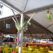 DecoracaoBarraquinha2011-35.JPG