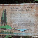 A maior área de floresta - Tongass,  Ketchikan, Alaska, EUA