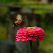DSCF5971.jpg