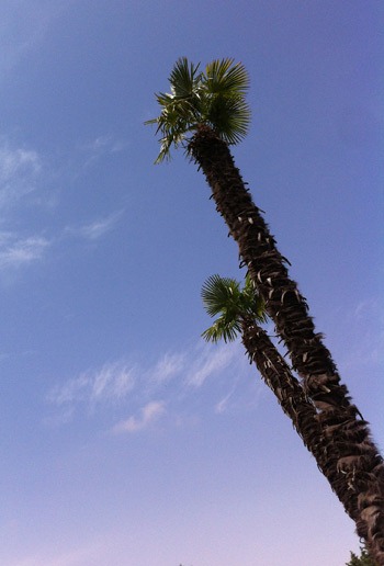 [Tropical%2520Obsession%2520003%255B4%255D.jpg]