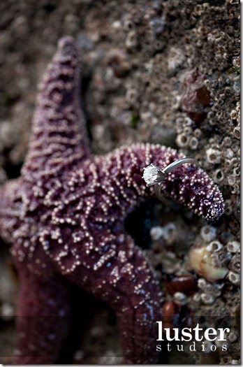engagement-ring-live-starfish