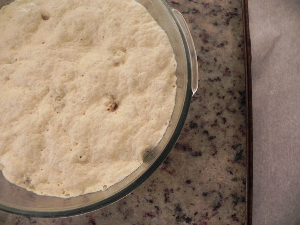 [DSCN9968%255B4%255D.jpg&description=Raisin Focaccia {focaccia con uva passa}')]