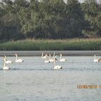 IMG_7900.JPG