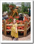 Disney 2011 335