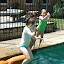 May 29 2010 004.jpg May 29 2010 004.jpg