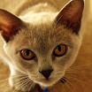 October 18 2008 022.JPG