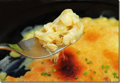 gourmet_macaroni_cheese