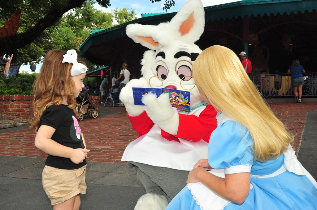 [DSC_65099.jpg]