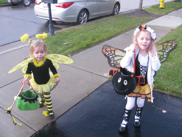 [IMG_3511%255B2%255D.jpg]