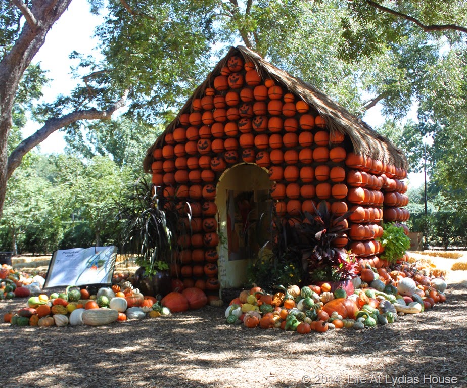 [Dallas-Arboretum---pumpkin-festival-%255B76%255D.jpg]