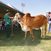 superleite2011_dia1507_120.JPG