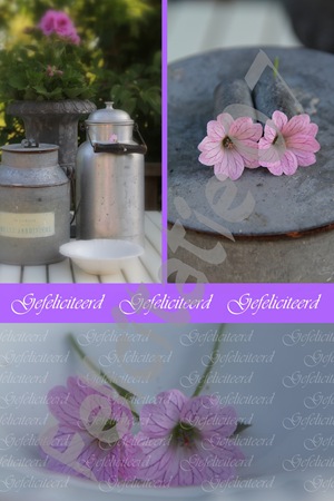 Home & Lifestyle Home & Lifestyle