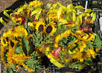 We also didn't buy a flower share—maybe next year!