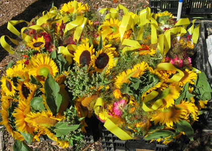 We also didn't buy a flower share—maybe next year!