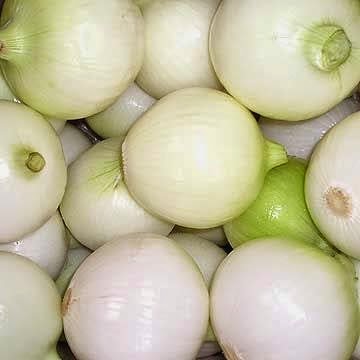 [Cebola%2520Crystal%2520Pearl%255B3%255D.jpg]