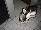 DSC05444.JPG