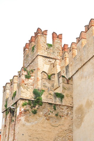 [DSC_0731%255B3%255D.jpg]