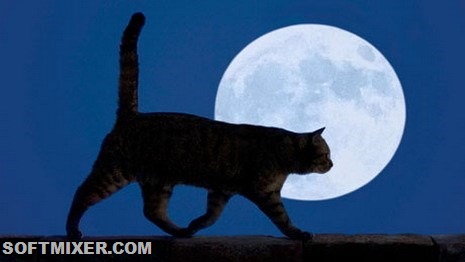 [wqqxwu_w465h262%255B8%255D.jpg]