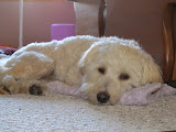 IMG_0027-7.JPG