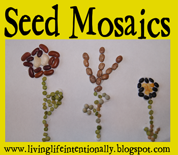 parts of a seed worksheet