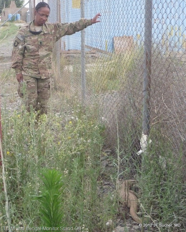 [20120607-5%255B31%255D.jpg]