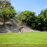 árvores invadindo as arquibancadas - Parque Arqueológico Copán - Copán Ruinas - Honduras