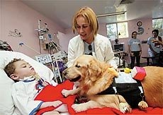 Tratamento Hospitalar
