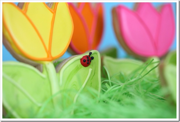 spring421 copy