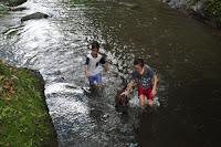pinoyecofarm november_0078.JPG