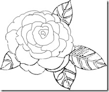 camelia1