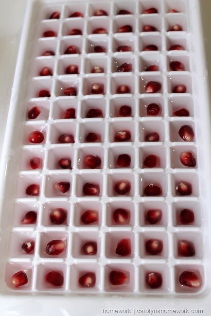 Pomegranate Mini Ice Cubes via homework  | carolynshomework 