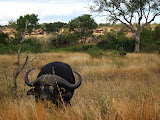 South Africa - 156.JPG