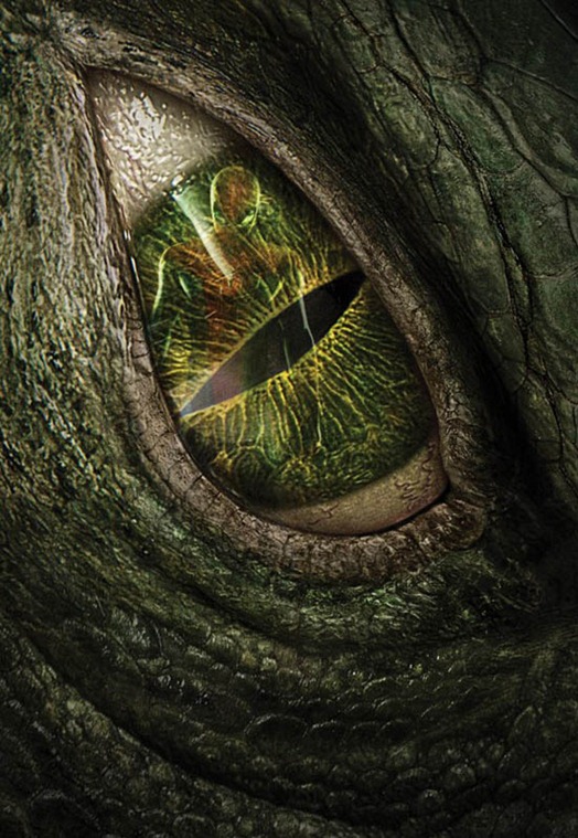 Only Lizard Eye_small