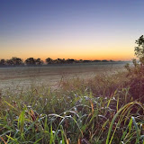 This is a photo of the field just north of the EcoHouse, just after sunrise on October 8, 2010. Some random AYRW photos