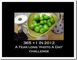 11 My 365 1 in 2012 photobook