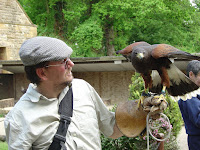 Falconry display.