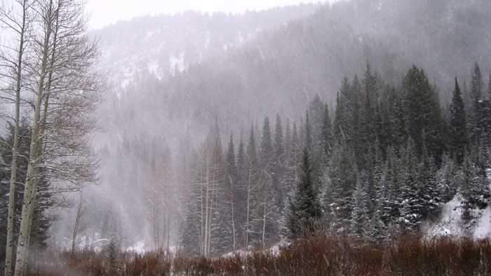 winter at Doughnut Falls