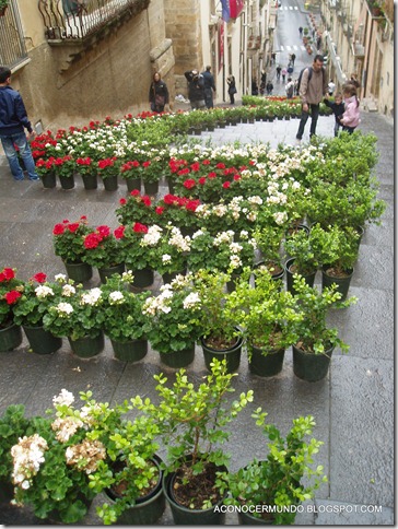P5019354-Caltagirone P5019354-Caltagirone