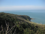 http://lh5.ggpht.com/-cZy1Ni2V5oY/Toxq_w5FDLI/AAAAAAAAB9k/zfVbjRFQlXA/WEWimereux%252520098.JPG