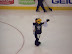 Penguin vs. Capitals Playoff Game