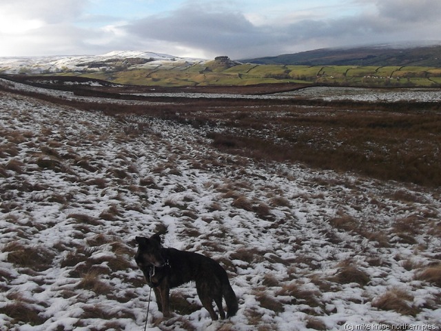 [pw%2520baldersdale%2520018%255B11%255D.jpg]