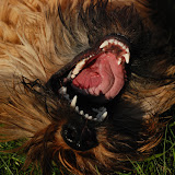 Abi - DSC_0251.jpg