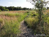 Ścieżka piesza przez tory kolejowe