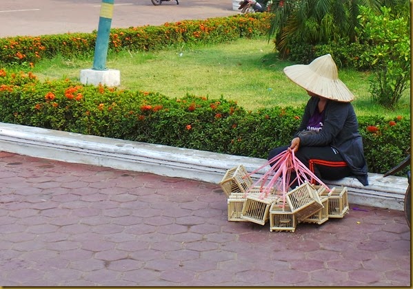 20140417_164316 Vientiane mulher vende passarinhos