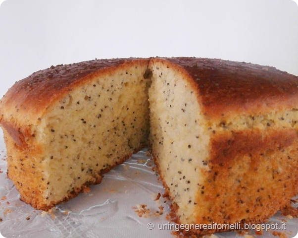 kalàcs semi papavero pane dolce brioches unghere ungheria panna acida kalàcs semi papavero pane dolce brioches unghere ungheria panna acida